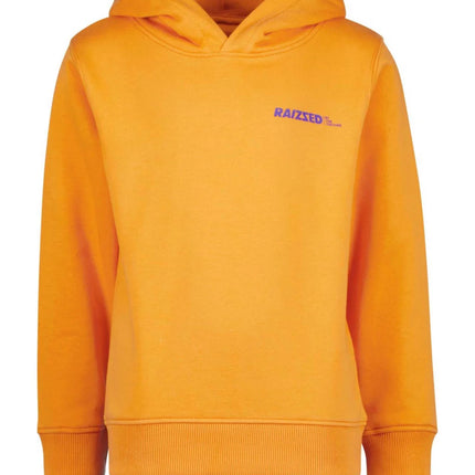 hoodie met tekst jongens