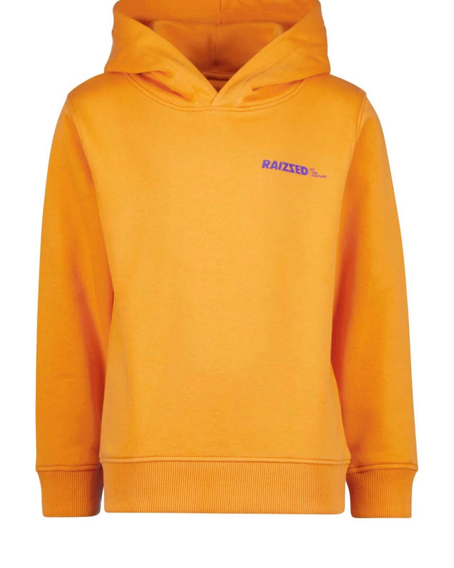 hoodie met tekst jongens