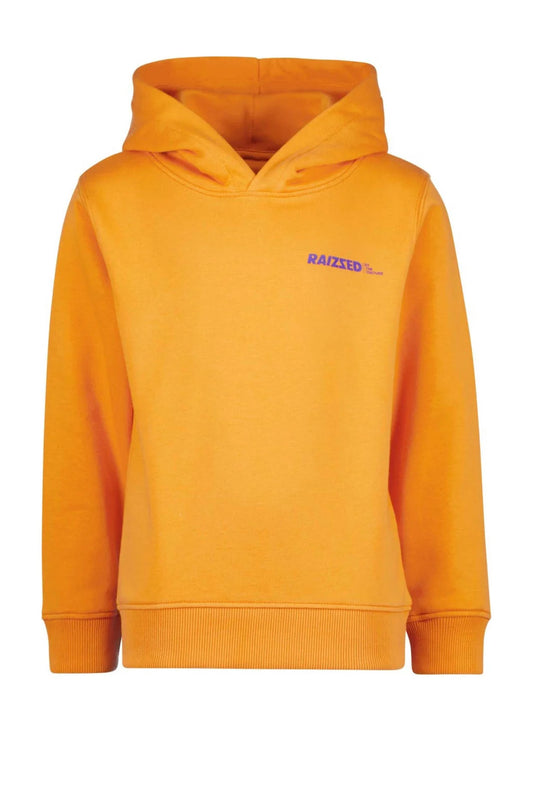 hoodie met tekst jongens